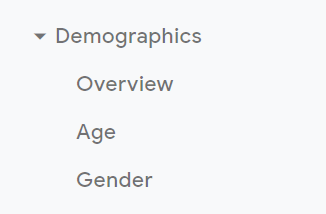 Demographics Google Analytics